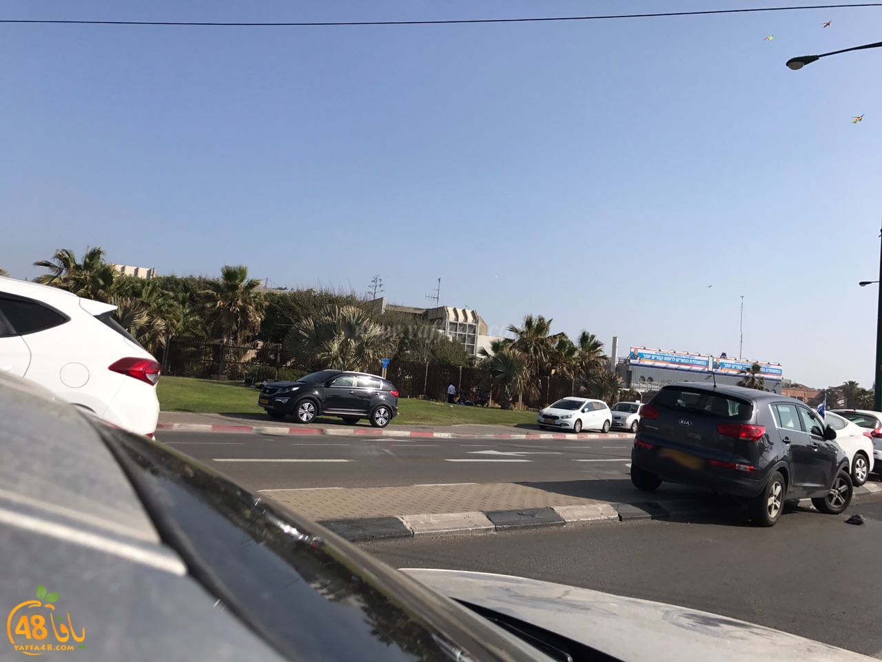 cars in yefaffa (14).jpg